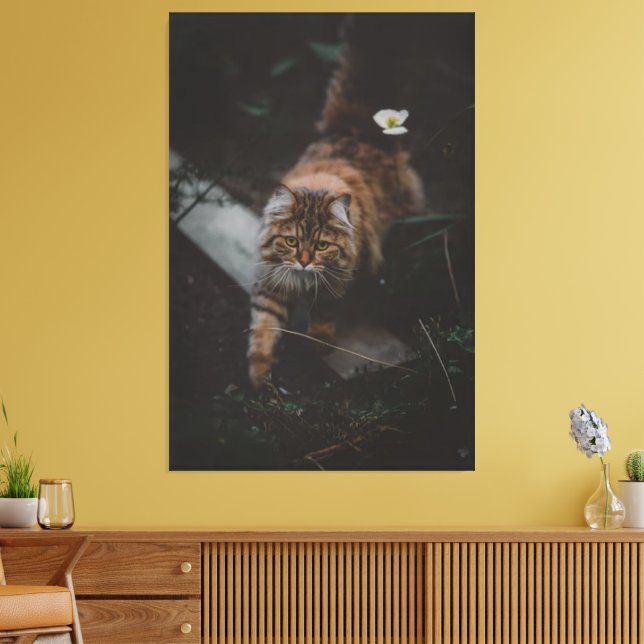 Cat Canvas Print Picture 17 Leinwanddruck (Insitu (Wohnzimmer))