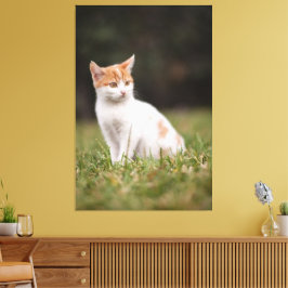 Cat Canvas Print Picture 18 Leinwanddruck