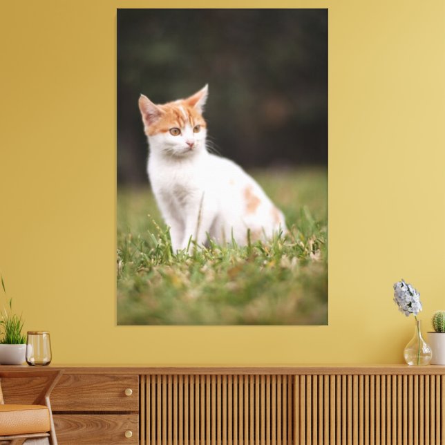 Cat Canvas Print Picture 18 Leinwanddruck (Insitu (Wohnzimmer))