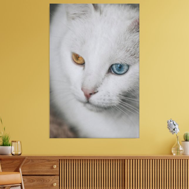 Cat Canvas Print Picture 20 Leinwanddruck (Insitu (Wohnzimmer))