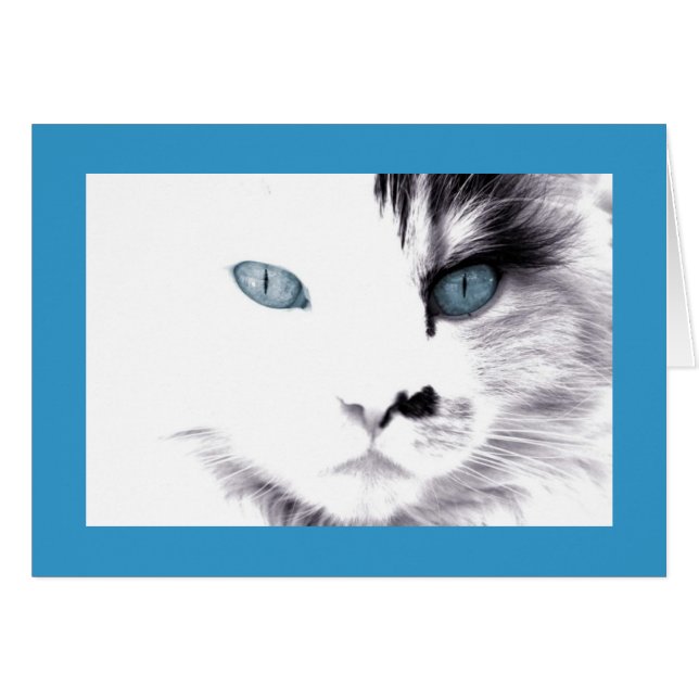 Cat Card (Vorderseite (Horizontal))
