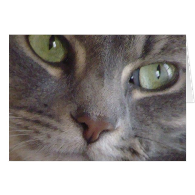 Cat Card (Vorderseite (Horizontal))