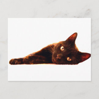 Cat Card Postkarte