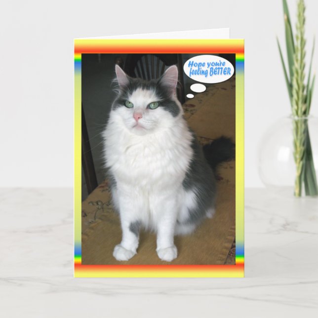 Cat Cards, Funny Get well Karte (Vorderseite)