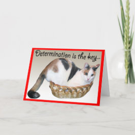 Cat Cards, lustige Ermutigung für einen Freund Karte