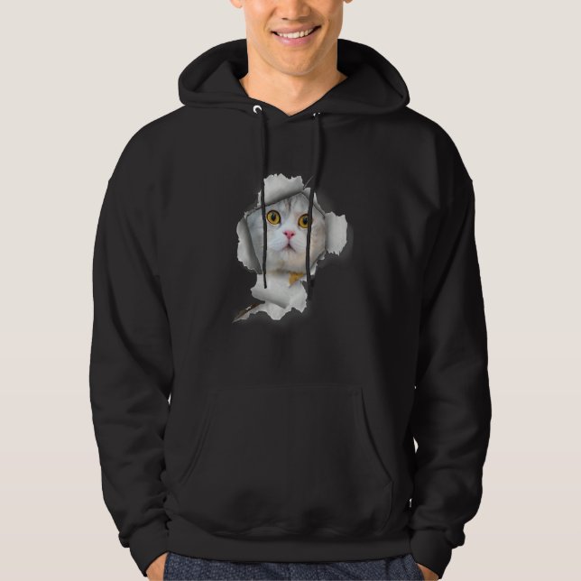 Cat Cat Art Kitten  Cute Cat Cat Owner  Cats 1 Hoodie (Vorderseite)