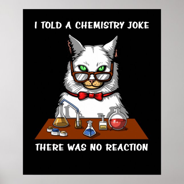 Cat Chemistry Teacher Funny No Reaction Joke Poster (Vorne)