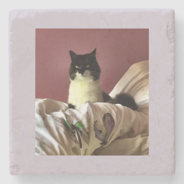 Cat Chillax Steinuntersetzer (Vorderseite)