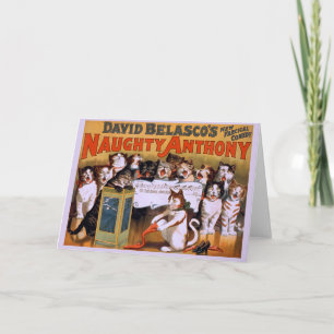 Cat Chorus! - Grußkarte Karte