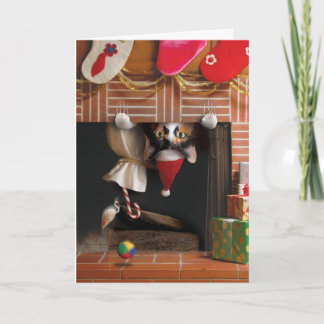 Cat Christmas Card Funny Niedlich Adorable Best Feiertagskarte