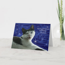Cat Christmas Filthy Animal Feiertagskarte