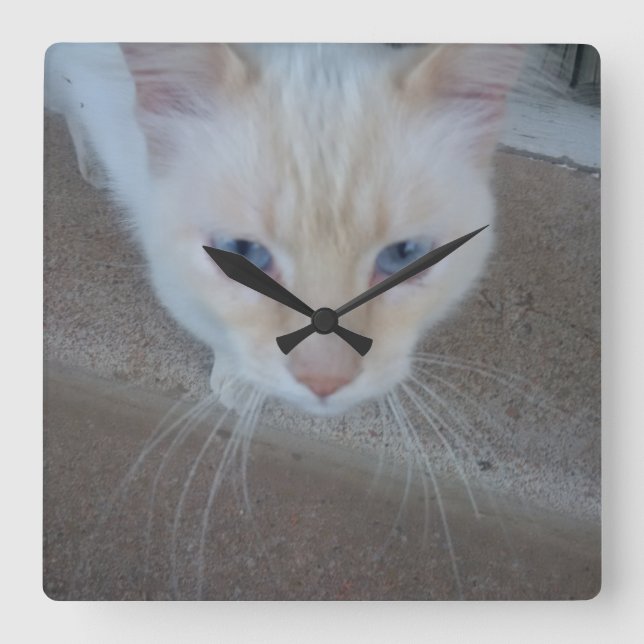 Cat Clock Quadratische Wanduhr (Vorderseite)