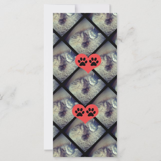 Cat Collage mit PawPrints von Shirley Taylor (Vorderseite)