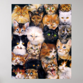 Cat Collage Poster
