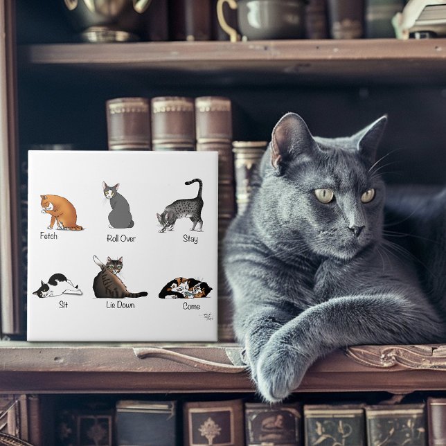 Cat Commands Fliese (Von Creator hochgeladen)