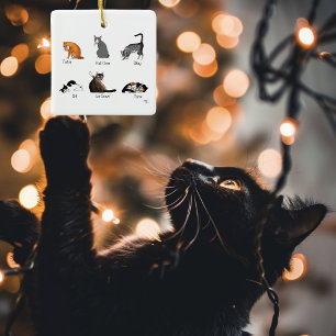 Cat Commands Keramikornament