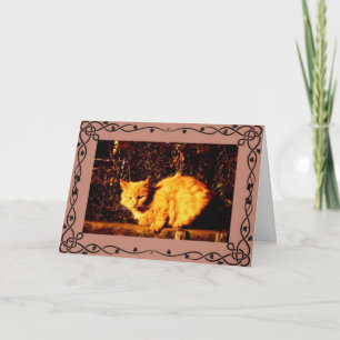 Cat Condolence Card Karte