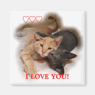 Cat Couple I Liebe You Magnet