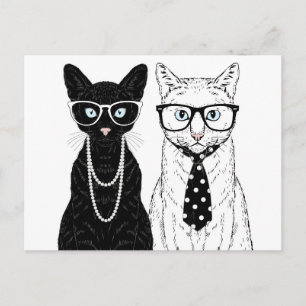 Cat Couple Postkarte