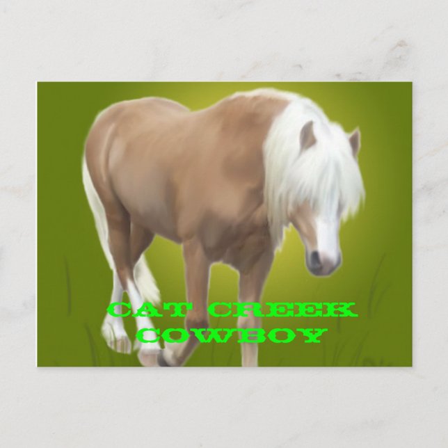 Cat Creek Cowboy PC Postkarte (Vorderseite)