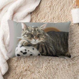 CAT CUDDLE BOYFRIEND TABBY PILLOWS LENDENKISSEN
