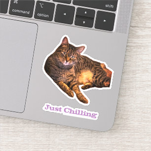 Cat Custom-Cut Vinyl Stickers Aufkleber