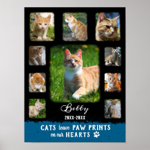 Cat Custom Foto Collage verblichene Grenzen Schwar Poster