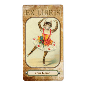 Cat Dance Book Teller