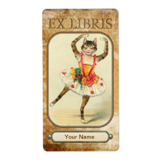 Cat Dance Book Teller