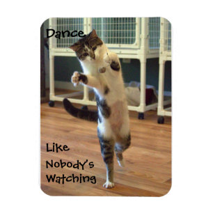 Cat Dance Magnet