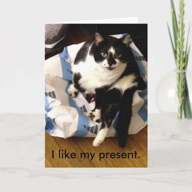 Cat Danke für meine Weihnachtsgeschenkkarten (Vorderseite)