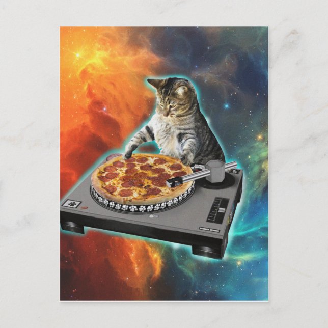 Cat dj disk jockey's sound table postkarte (Vorderseite)