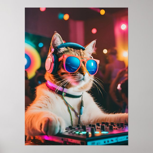 Cat DJ Party Vibes, Cat Lover Gift Poster (Vorne)