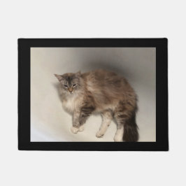 Cat Doormat Fußmatte