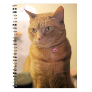 Cat Drawstring Bag Notizblock