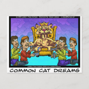 Cat Dreams Funny Girls T-Shirts & Sammlerstücke Postkarte
