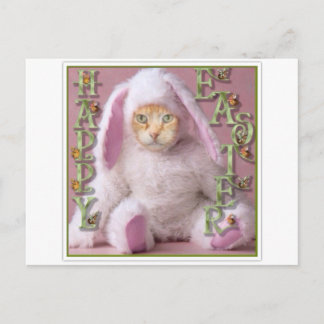 Cat Easter Bunny Claude Feiertagspostkarte