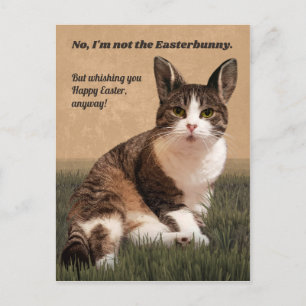 Cat-Easterbunny 😸 🐰 Postkarte