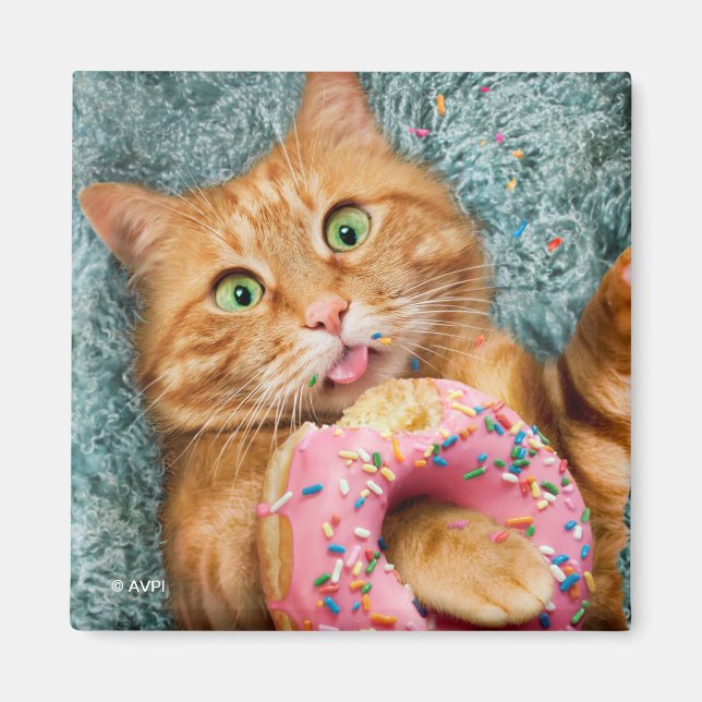 Cat Eating Donut Magnet (Vorne)