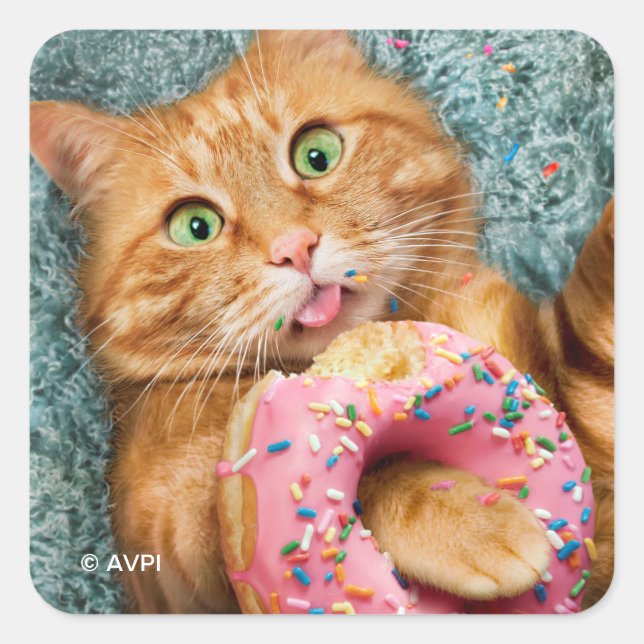 Cat Eating Donut Quadratischer Aufkleber (Vorderseite)