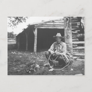 Cat eating out of a coffee can postkarte