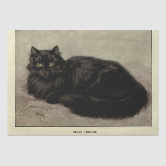 Cat Ephemera Decoupage Black Persian Seidenpapier (Vorderseite)