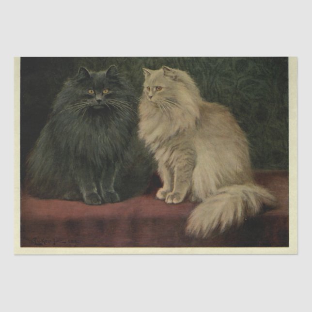 Cat Ephemera Decoupage Blu Cream Persians Seidenpapier (Vorderseite)