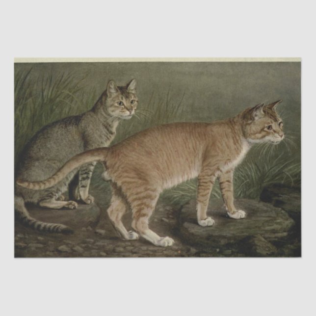 Cat Ephemera Decoupage Brown Orange Tabby Seidenpapier (Vorderseite)