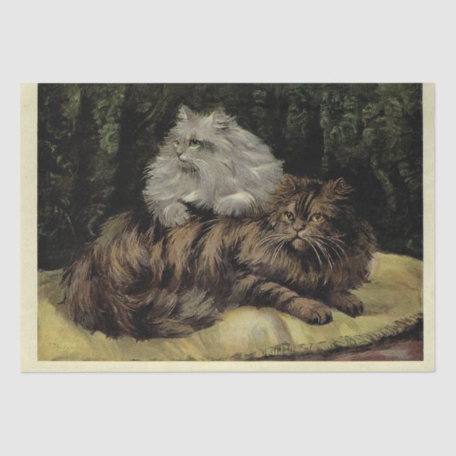 Cat Ephemera Decoupage Brown Tabby Silver Persian Seidenpapier (Vorderseite)