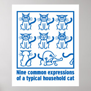Cat Expressions Poster