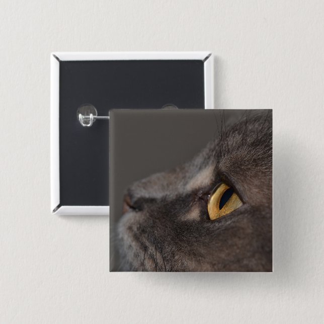 Cat Eye-Macro von Shirley Taylor Button (Vorne & Hinten)