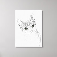 Cat Eyes A Pencil Zeichnend