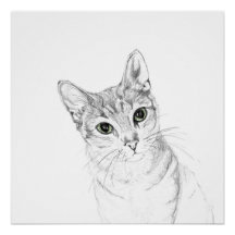 Cat Eyes A Pencil Zeichnend