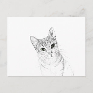 Cat Eyes A Pencil Zeichnend Postkarte
